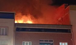 Bursa'da gece yarısı korkutan yangın