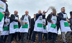 Harmancık'ta yanan 4 bin 256 hektar alan ağaçlandırılıyor