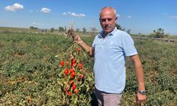 Dedesi seçimde muhtar oldu adına "Seçim" konuldu