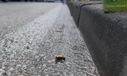 Bursa'da pizzacıya kurşun yağmuru!