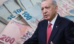 Cumhurbaşkanı Erdoğan,vergi artışı içi indirim yetkisini kullanacak