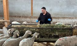 Bursalı şap mağduru üreticiler acil destek bekliyor