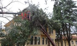 Büyükşehir ekipleri, şiddetli rüzgara karşı sahada