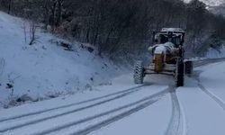 Büyükşehir'den karla mücadele