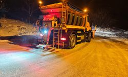 Kar yağışı Osmangazi’de hayatı aksatmadı