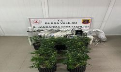 İnegöl'de uyuşturucu operasyonu: Evde esrar üretim düzeneği ele geçirildi