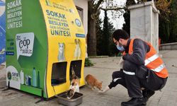 Yıldırım Belediyesi'nden sokak hayvanlarına sıcak yuva