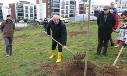 Belediye Başkanından yeşil alan talebine hızlı cevap