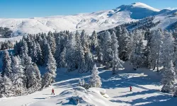 Uludağ Alan Başkanı görevden alındı, yeni atama yapıldı