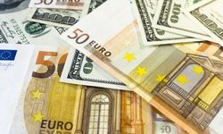 Döviz bürolarına sıkı denetim