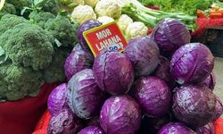 Karalahana pazarda 80 lira, tarlada 5 lira: Üretici ürünü tarlada bıraktı