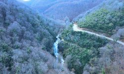 Gemlik’te Su Düşen Şelalesi yağışlarla yeniden coştu