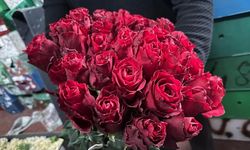 Kırmızı Gülü Yağış Vurdu, Kenya ve Uganda Öne Çıktı