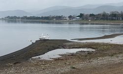 İznik Gölü’nde çekilme büyüyor: “iki yıl sonra çiftçi su bulamayabilir”