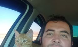 Kaybolan kedisi için binlerce kilometre yol yaptı