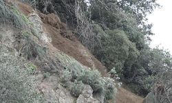 Bursa Mudanya–Gemlik yolunda heyelan: kapanan yol yeniden trafiğe açıldı