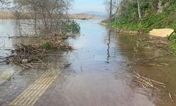 Yaren Leylek’in Köyü Taşkın Tehlikesiyle Karşı Karşıya