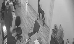 Bursa’da şaka az kalsın felaketle bitecekti: Kolonyalı el alev aldı