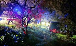 Bursa’da feci kaza: Direksiyon hakimiyetini kaybeden sürücü zeytin tarlasına girdi