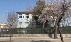 Bursa'da 7 yaşındaki ilkokul öğrencisi hayatını kaybetti