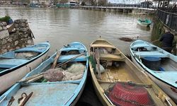 Gölyazı balıkçıları israil sazanı sayesinde geçimlerini sağlıyor