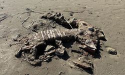 İznik Gölü’nde su çekildi, ikinci bazilika ihtimali ortaya çıktı