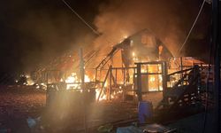 Bursa'da çiftlikte yangın: 580 kanatlı hayvan telef oldu