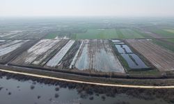 Bursa'da tarlaya traktör girmiyor, hayvan meraya çıkamıyor