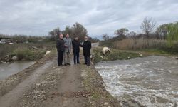 Kuruyan dere coştu, İznik Gölü’ne umut oldu