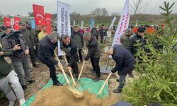 Bursa’da Yanan 80 Hektarlık Alan Yeniden Yeşerdi