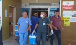 Hayat Veren Bağış: Organlarıyla 4 Kişiye Umut Oldu
