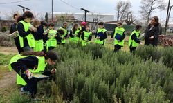 Ürünlü'de doğa sevgisi yeşeriyor