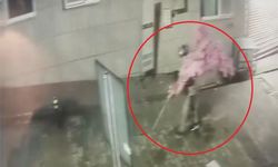 ‘Bir kafeden daha fazlası’ yazısını fark etti, ağacı sırtlayıp gitti O anlar kamerada