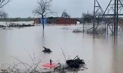 Bursa'da tarlalar göle döndü, hayvanlar mahsur kaldı