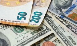 Bugün döviz kuru ne kadar?