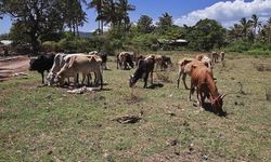 Vuslat Derneği’nden Kurban Bayramı Öncesi Anlam Odaklı Kampanya