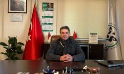 CHP'li meclis üyesine kadına şiddetten ev hapsi