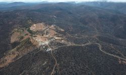 Bursa'da tarihin en büyük orman yangınında yaralar böyle sarıldı