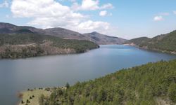 Bursa'nın dereleri coştu!