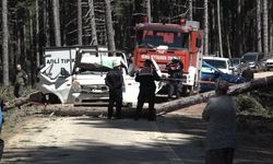 Uludağ'da inanılmaz olay...Kesilen ağaç seyir halindeki kamyonetin üzerine devrildi: 1 ölü