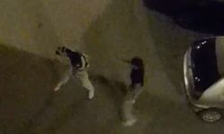 Bursa’da sokak ortasında boks ringlerini aratmayan kavga kamerada