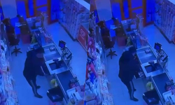 Marketten nakit para ve sigara çalan şüpheli kameralara yansıdı