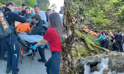 Bursa'da kalp krizi geçirdi, dereye düştü