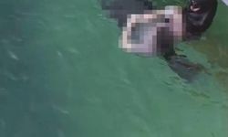 Bursa'da genç astsubay denizde ölü bulundu