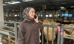 İki genç kuzen celep, Bursa'daki kurban pazarında rekabeti artırdı