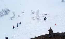 Artvin’de çığ altında kalan çoban 122 gündür kayıp: Arama çalışmaları yeniden başladı