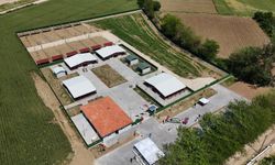 Güney Marmara’nın en modern hayvan bakımevi Yenişehir’de açıldı!