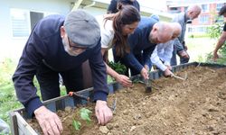 Nilüfer’de yaşlılar fideleri toprakla buluşturdu