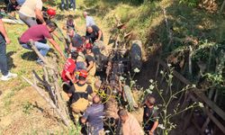 Bursa'da dede ile iki torunu ölümden döndü