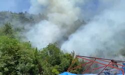 Bursa'da yangına havadan ve karadan müdahale